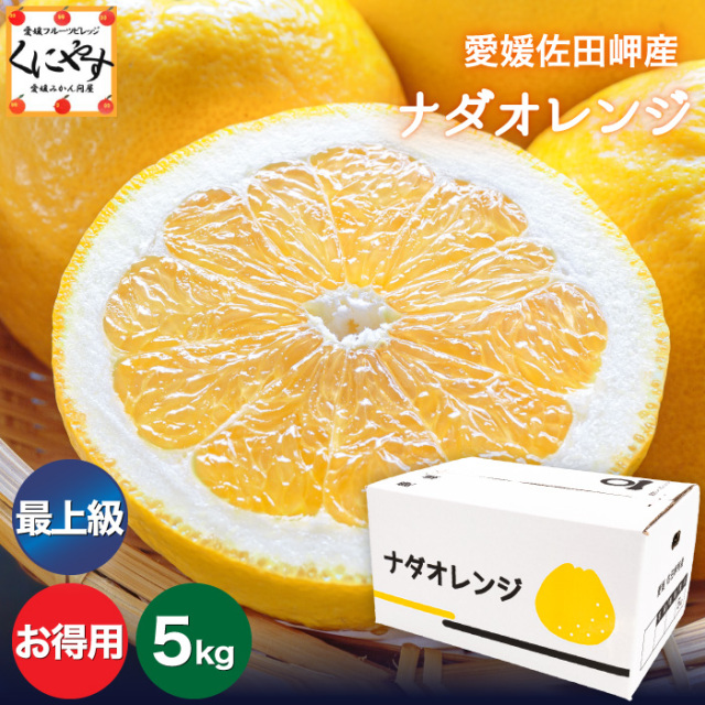 「お得最上ナダオレ5」【最上級こだわり品】【送料無料】【産地直送】愛媛佐田岬産ナダオレンジ お得用5kg