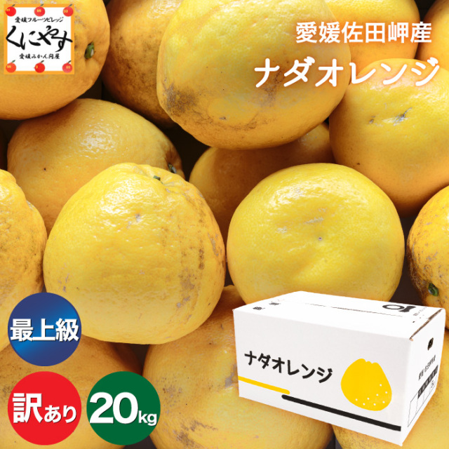 愛媛県佐田岬産最上級ナダオレンジのお得な訳あり品【20kg】