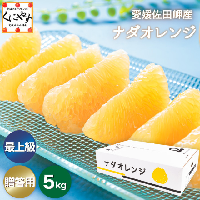 暑い時期のギフトにおすすめ。愛媛県佐田岬産の最上級ナダオレンジ【5kg】