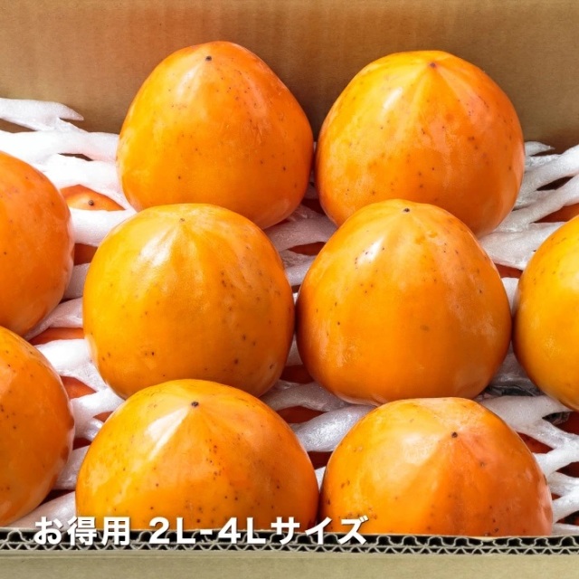 お得富士柿イメージ