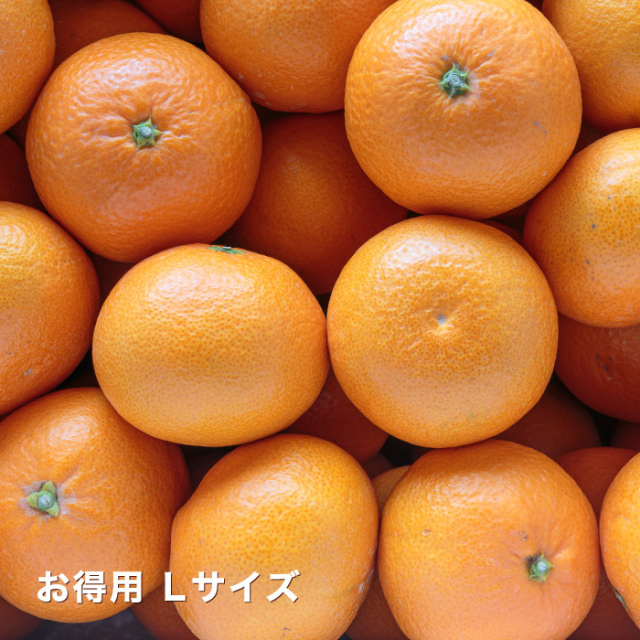 お得清見イメージ