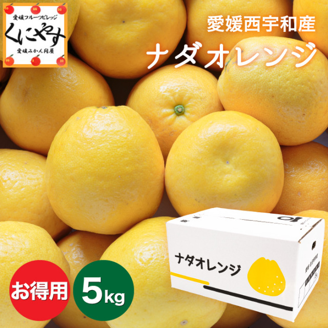 たっぷり5kg！初夏の高級柑橘ナダオレンジを愛媛西宇和地方より産地直送