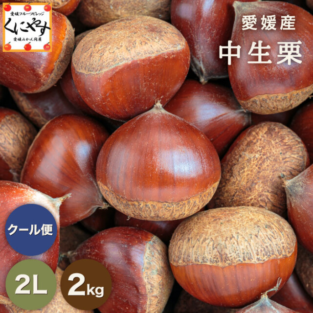 いずみん様　生栗10キロ　③ 栗のシーズン本番！見た目・味ともに質の良い国産の中生栗を生栗の状態