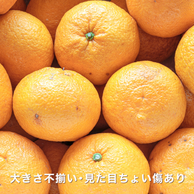 g-w-ama_01.jpg?t=20260530153314