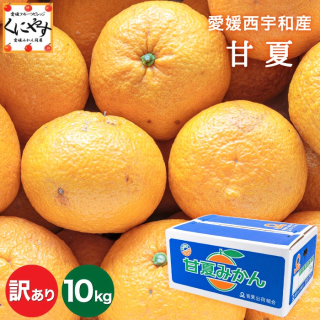 「訳あり甘夏5×2」【送料無料】【産地直送】愛媛西宇和産甘夏 訳あり10kg(5kg×2箱) マーマレードやピール作りにも！