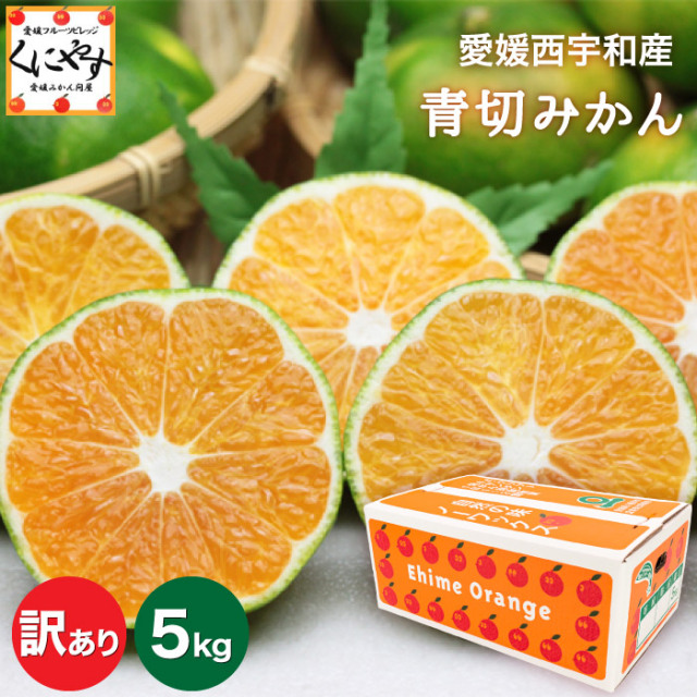 「訳あり青切みかん5」【送料無料】【訳あり】【産地直送】訳あり愛媛西宇和産青切みかん 5キロ