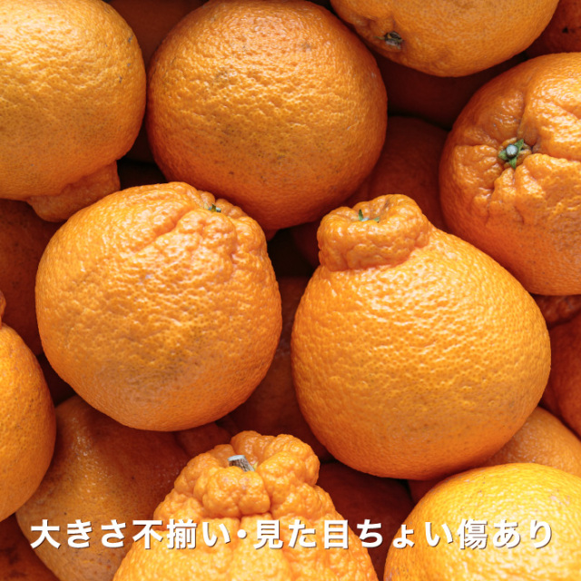 デコイメージ