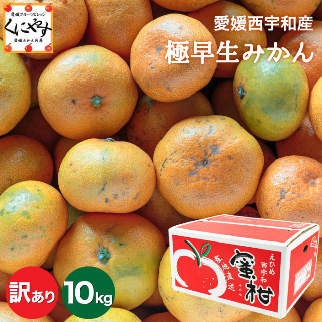 よし 10キロ2箱 5キロ2箱 愛媛みかん 愛媛みかん 愛媛フルーツビレッジくにやす