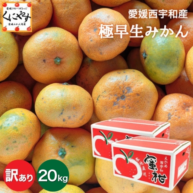 「訳あり極早生みかん20」【1～5営業日以内当店発送予定】【送料無料】【産地直送】【訳あり】愛媛西宇和産 訳あり極早生みかん 20kg（10kg×2箱）