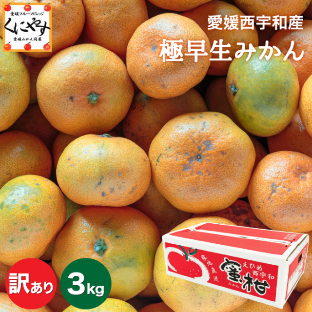 「訳あり極早生みかん3」【1～5営業日以内当店発送】【送料無料】【産地直送】【訳あり】愛媛西宇和産 訳あり極早生みかん 3kg