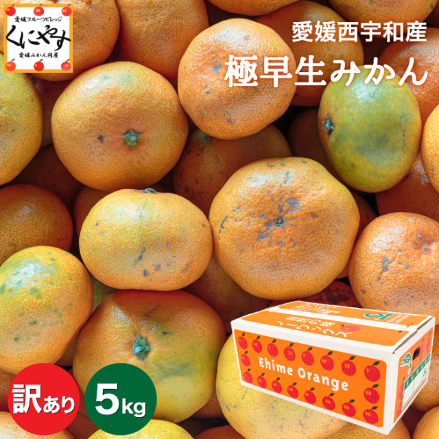 「訳あり極早生みかん5」【1～5営業日以内当店発送】【送料無料】【産地直送】【訳あり】愛媛西宇和産 訳あり極早生みかん 5kg