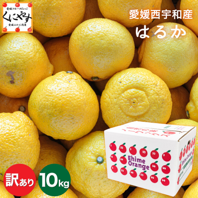 「訳あり愛媛はるか10」【送料無料】【産地直送】訳あり 愛媛 西宇和産 はるか 10キロ/デコポンをレモン色にしたような外見/大きさ不揃い・見た目チョイ傷