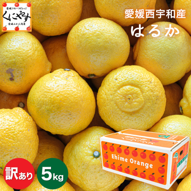 「訳あり愛媛はるか5」【送料無料】【産地直送】訳あり 愛媛 西宇和産 はるか 5キロ/デコポンをレモン色にしたような外見/大きさ不揃い・見た目チョイ傷