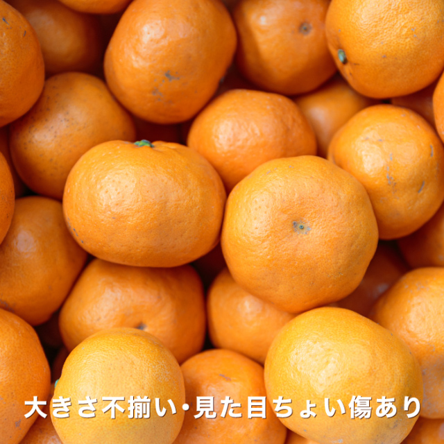 訳ありはるみ