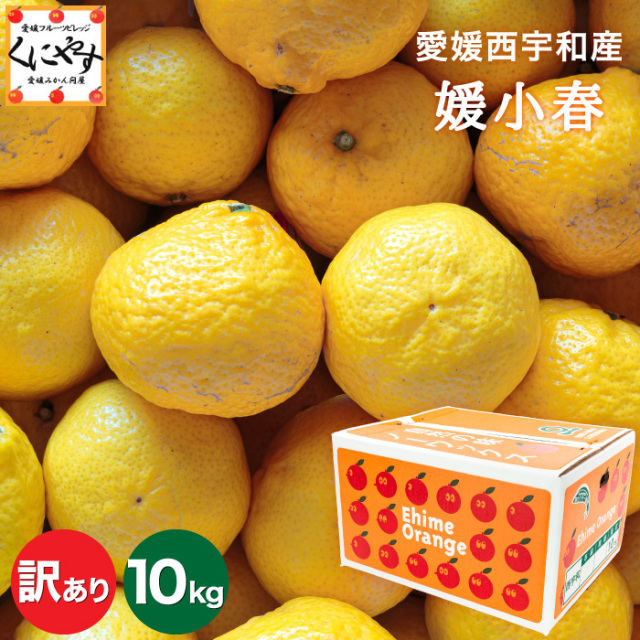 訳あり媛小春10kg