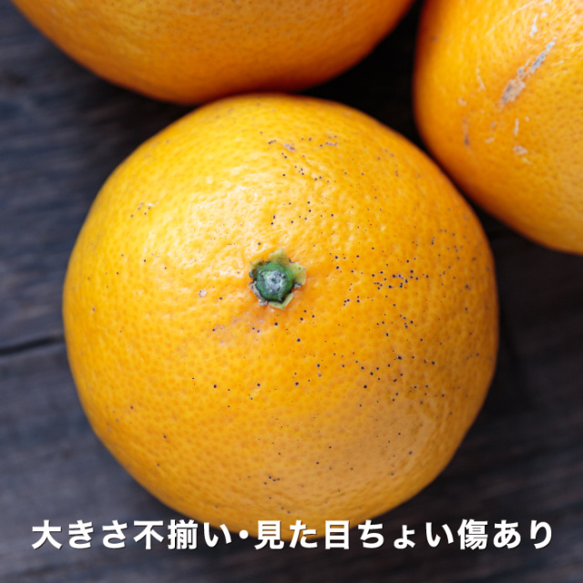 訳あり媛の月イメージ
