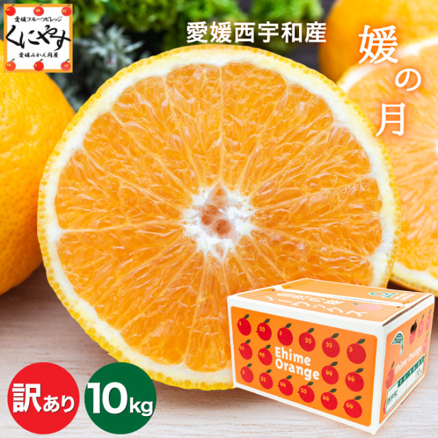 訳あり媛の月10kg