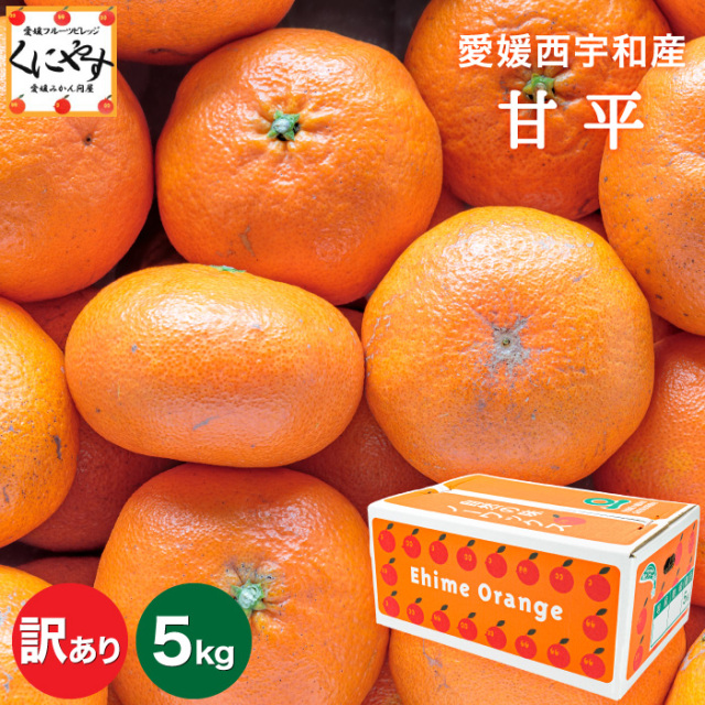 文旦　訳あり　アウトレット品　柑橘　14 文旦訳ありアウトレット品柑橘14