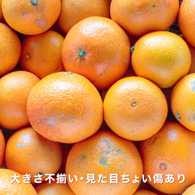 訳ありまどんなイメージ