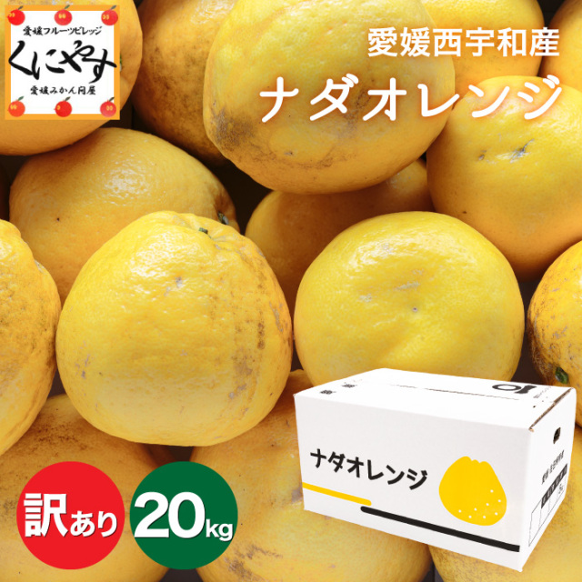 初夏の高級柑橘ナダオレンジをお得に楽しめる訳あり品。愛媛西宇和地方