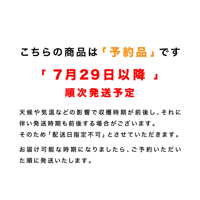 訳あり尾花沢すいか