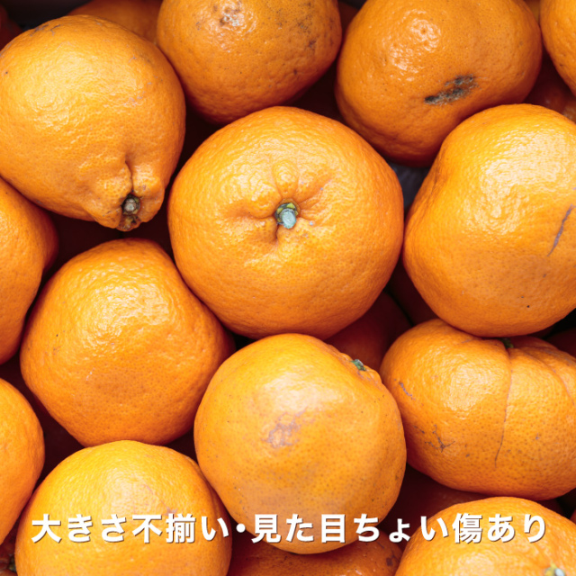 訳ありイメージ