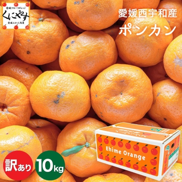 「訳あり愛媛ポンカン5×2」【送料無料】【産地直送】訳あり 愛媛産 ポンカン 10kg (5kg×2箱) みかんのように手で剥いてパクパクお手軽【1～5営業日以内当店発送予定】