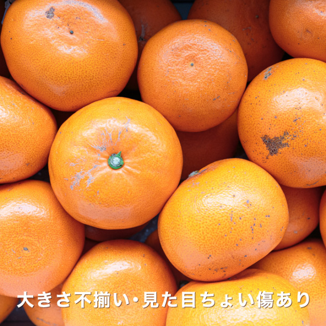 訳ありイメージ