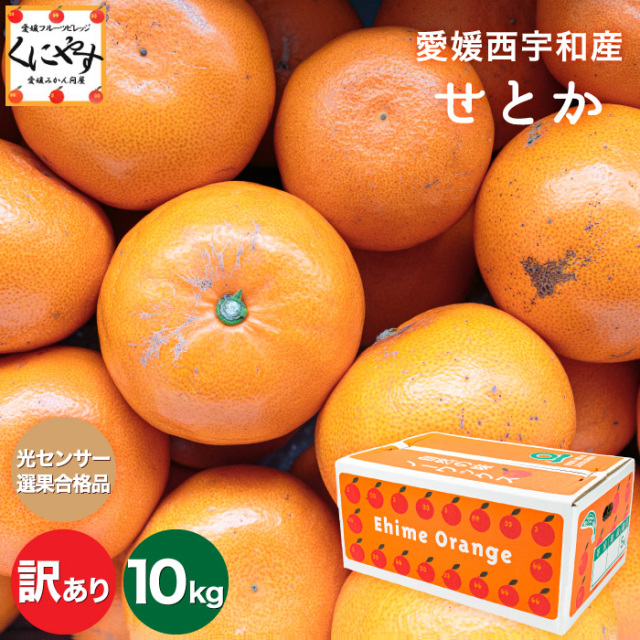 訳ありせとか10kg