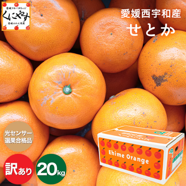 訳ありせとか20kg