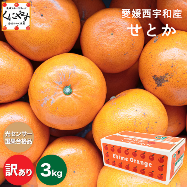訳ありせとか3kg
