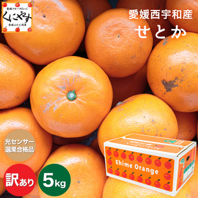 訳ありせとか5kg
