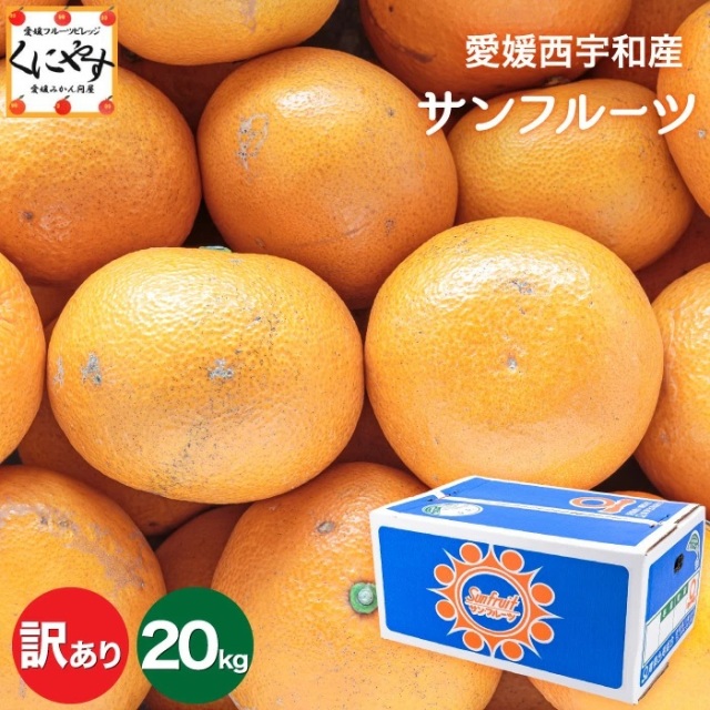 果物新鮮 みかん 訳あり20kg