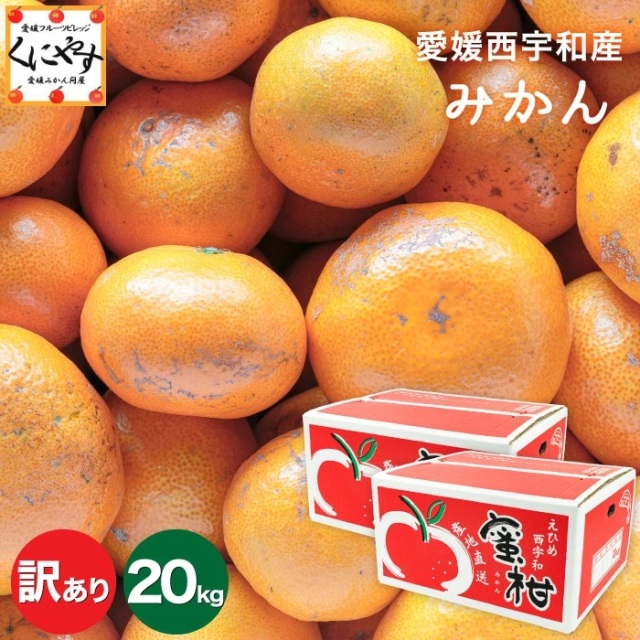 訳ありみかん20kg