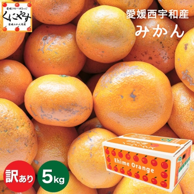 訳ありみかん5kg