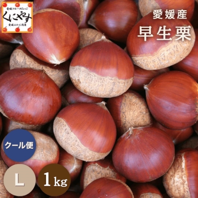 早生栗