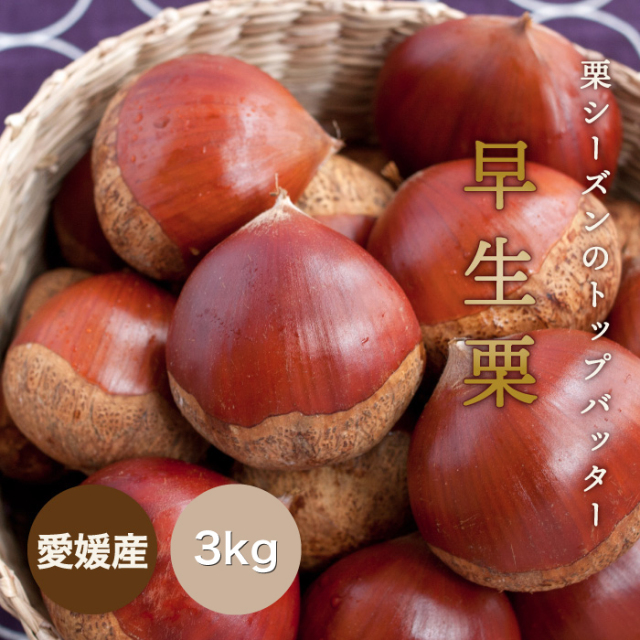 早生栗