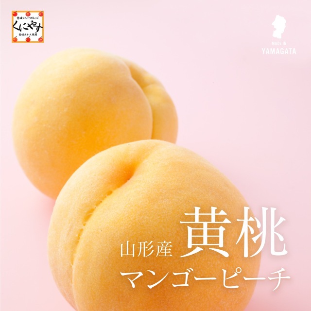 マンゴーピーチと呼ばれる濃厚な甘みが特徴の山形産の黄桃が新登場！