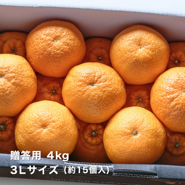 贈答デコ4kgイメージ