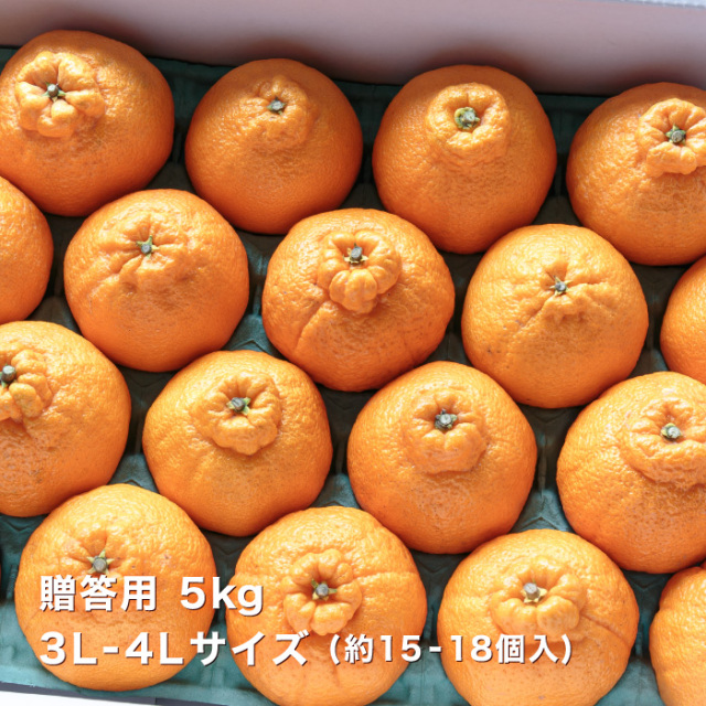 贈答デコ5kgイメージ