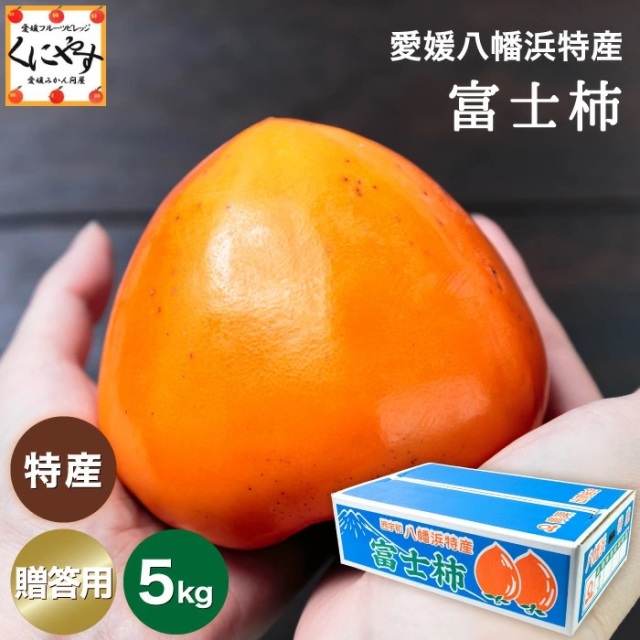 贈答富士柿5kg