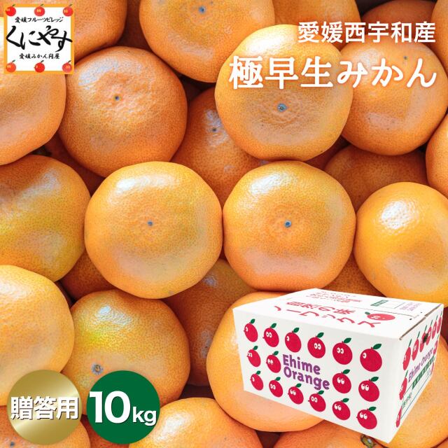 「贈答極早生みかん10」【1～5営業日以内当店発送】【送料無料】【産地直送】【ギフト】贈答用 愛媛西宇和産 極早生みかん 10kg