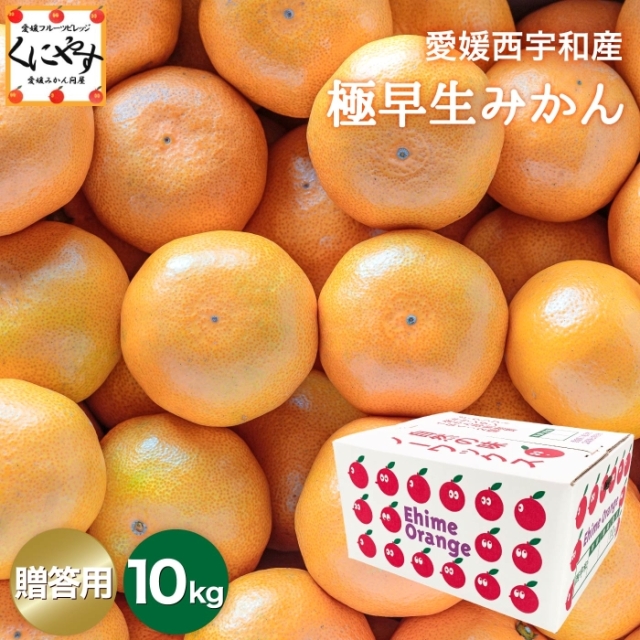 「贈答極早生みかん10」【送料無料】【産地直送】【ギフト】贈答用 愛媛西宇和産 極早生みかん 10kg
