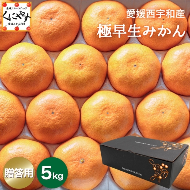 愛媛県西宇和産極早生みかん 贈答用5kg