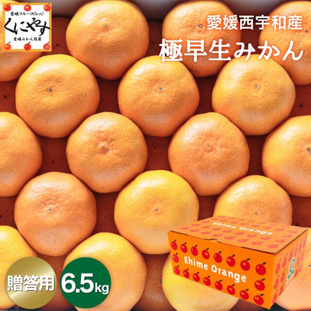 「贈答極早生みかん6.5」【1～5営業日以内当店発送】【送料無料】【産地直送】【ギフト】贈答用 愛媛西宇和産 極早生みかん 6.5kg
