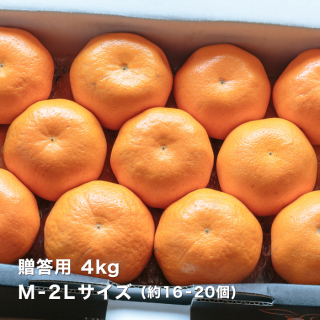 贈答はるみ4kgイメージ