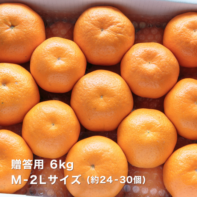 贈答はるみ6kgイメージ
