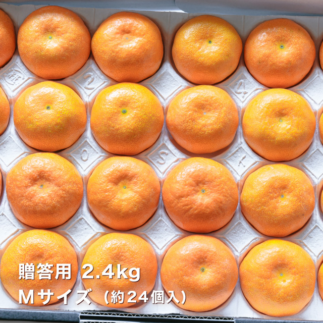 温室みかん