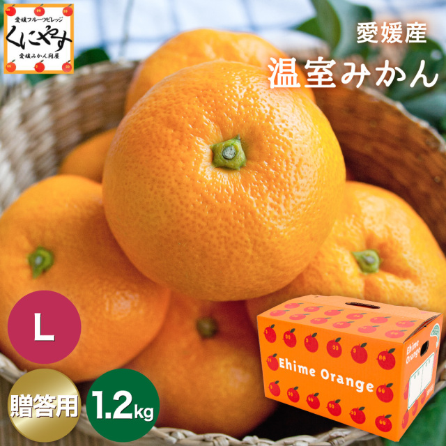 濃厚な甘さの温州みかんを温室栽培した「温室みかん」は夏の
