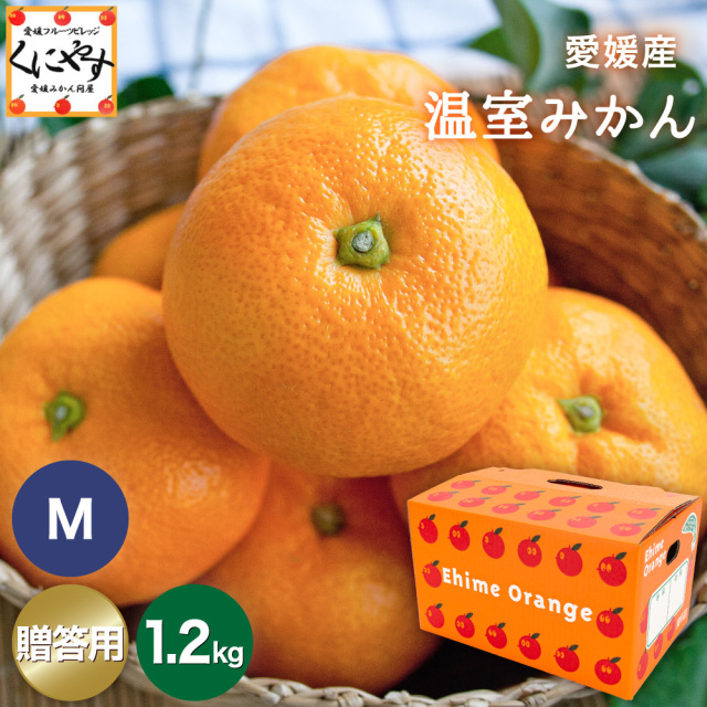 温室みかん